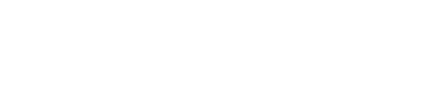 SEGUROS PUERTO RICO